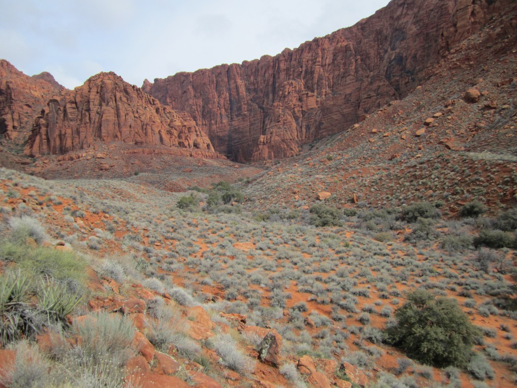 Kayenta's Hell Hole Canyon