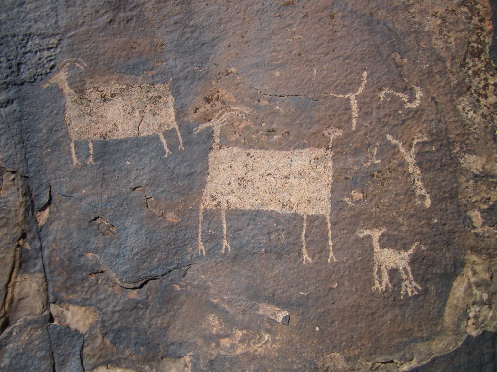 Anasazi Valley Petroglyphs