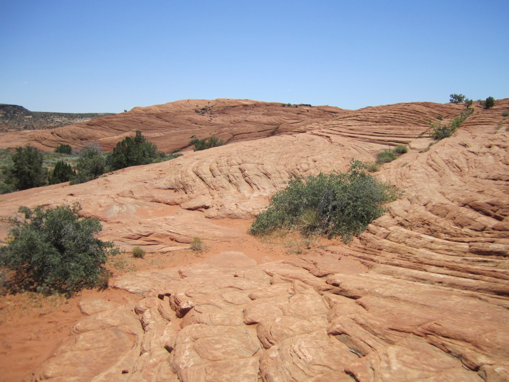 Snow Canyon Petrified Dunes