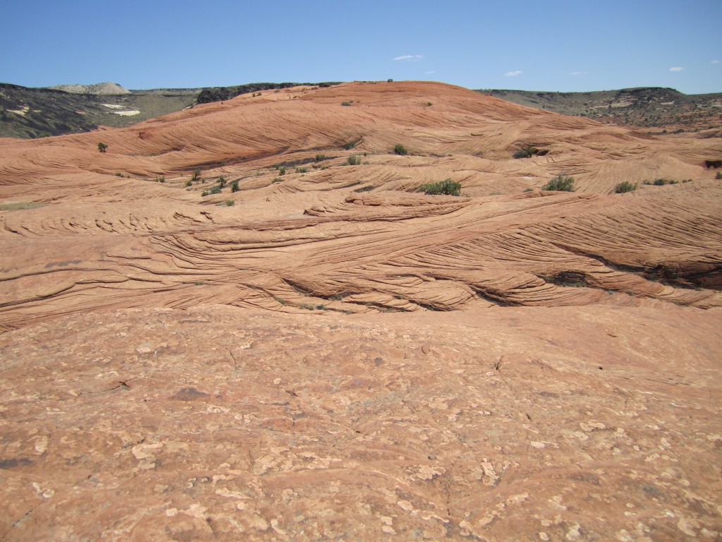 Snow Canyon State Park Petrified Dunes