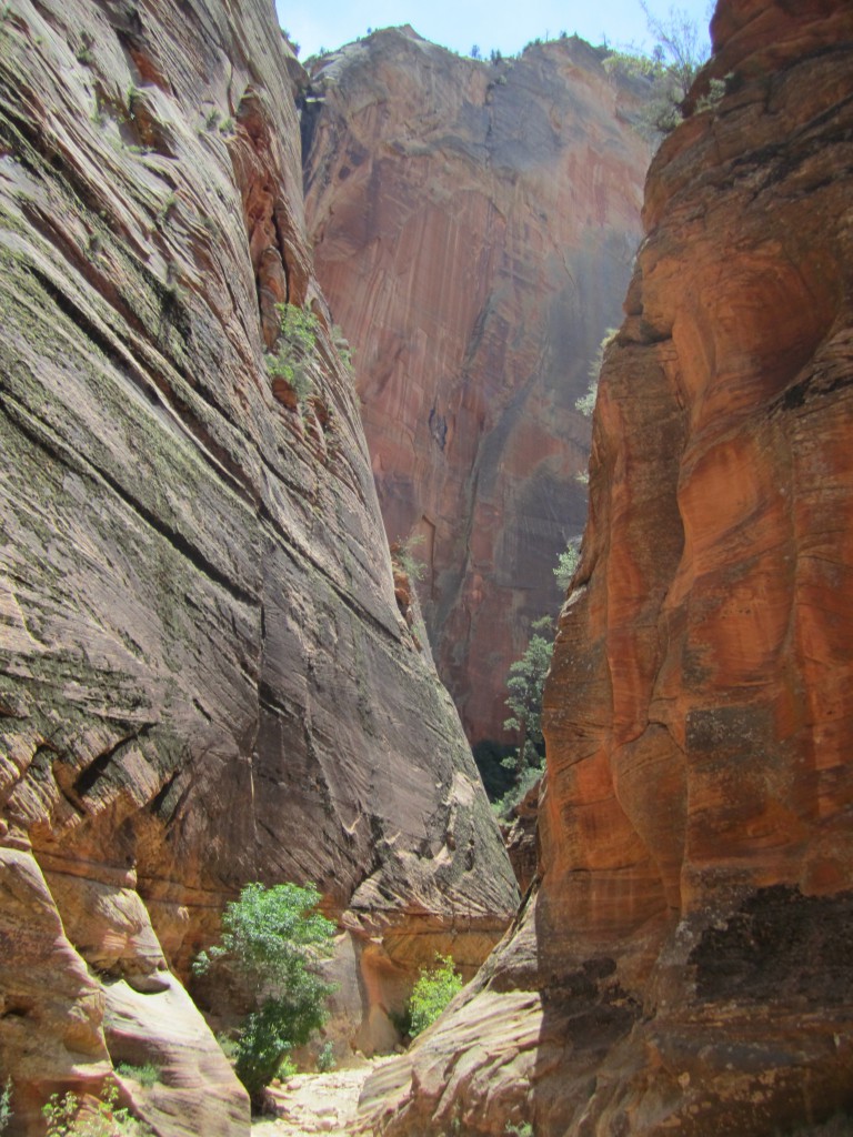 Zion National Park Observation Point Hike