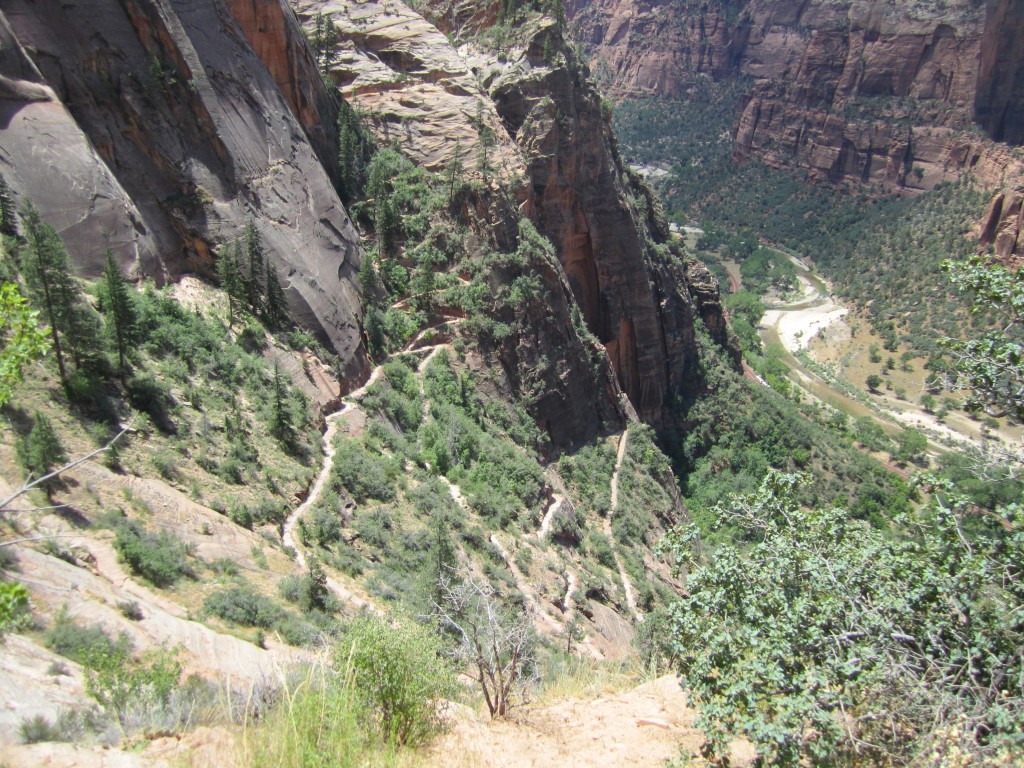 Zion National Park Observation Point Hike