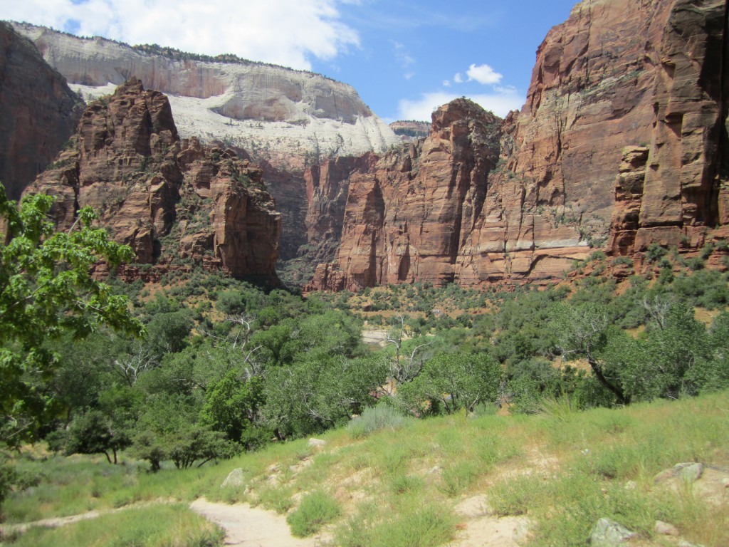 Zion National Park Observation Point Hike