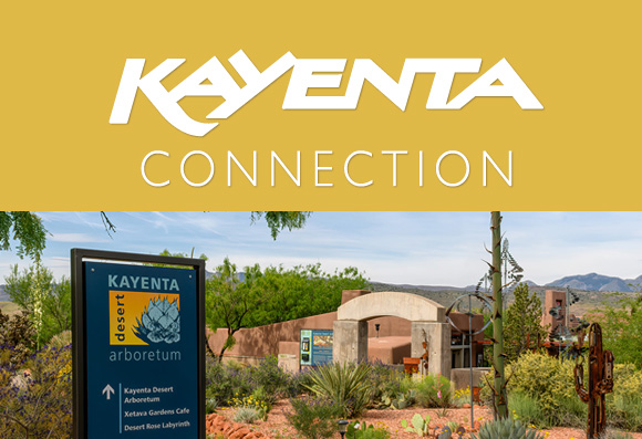Masthead-March-2020 Kayenta Connection